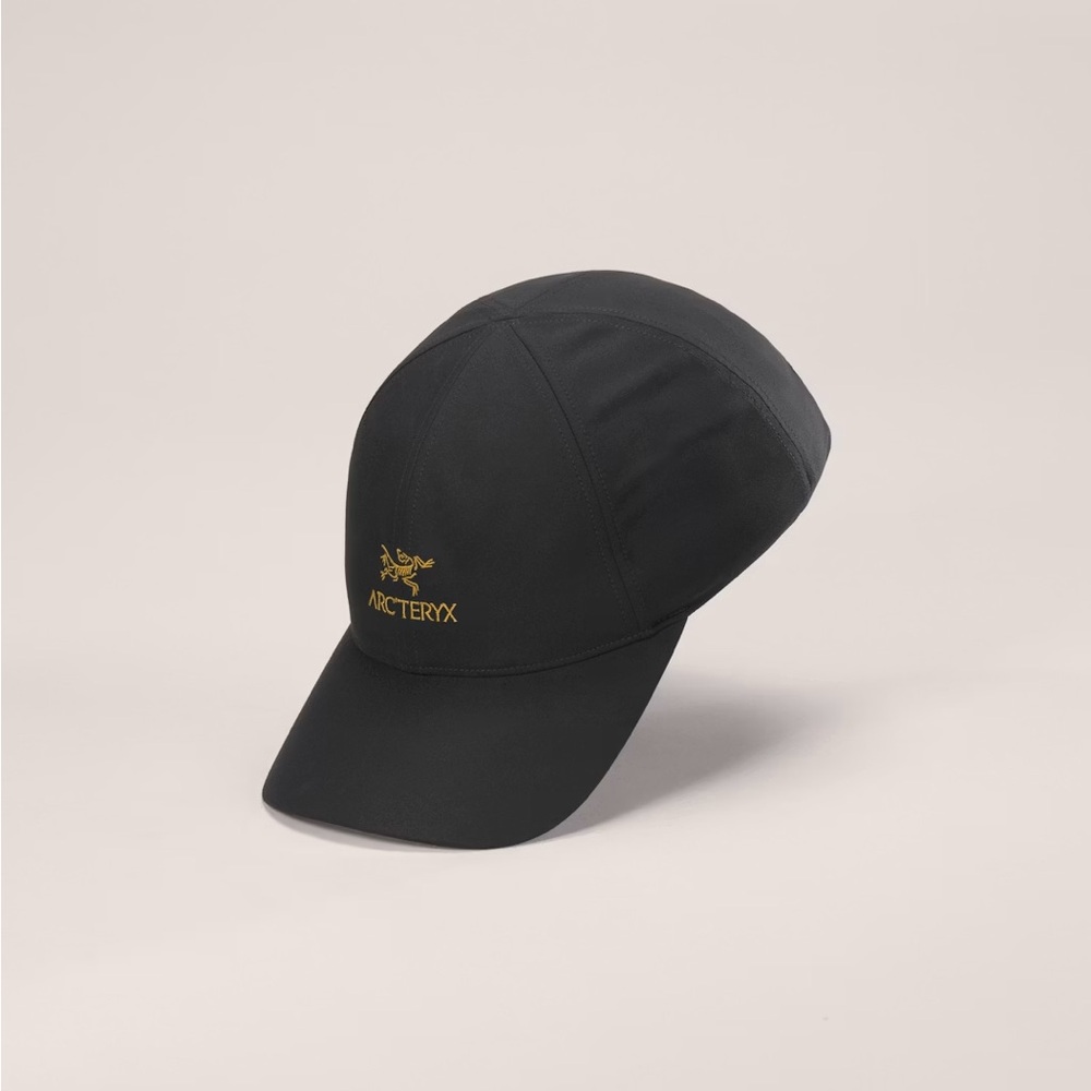 Arc’teryx Bird Word Cap
